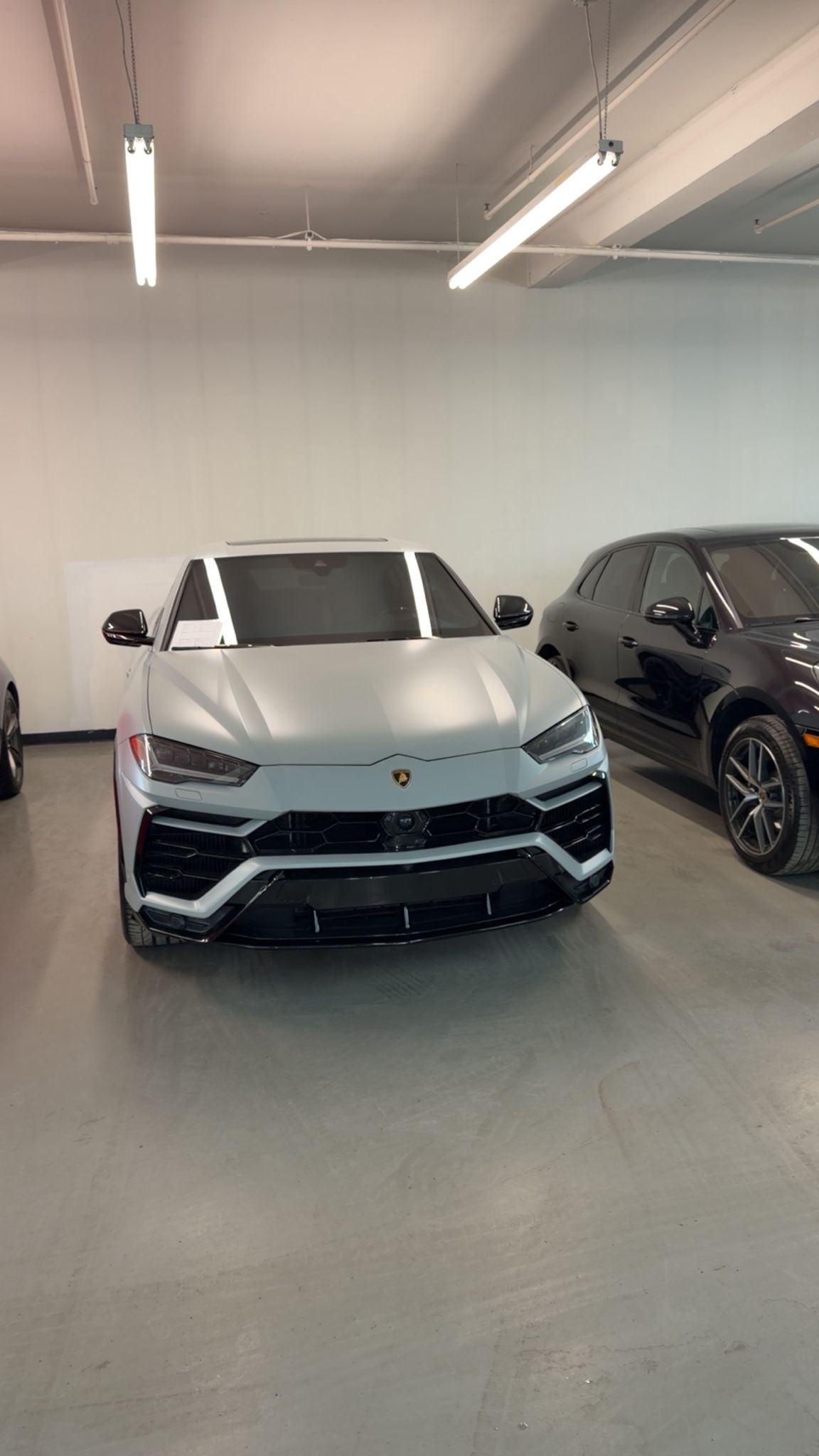 Showroom — Lamborghini & Porsche